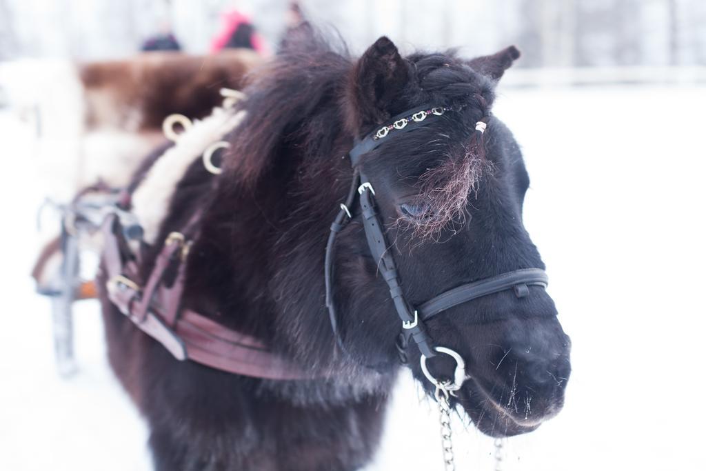 Villa Petaejaekylae Kuusamo Esterno foto