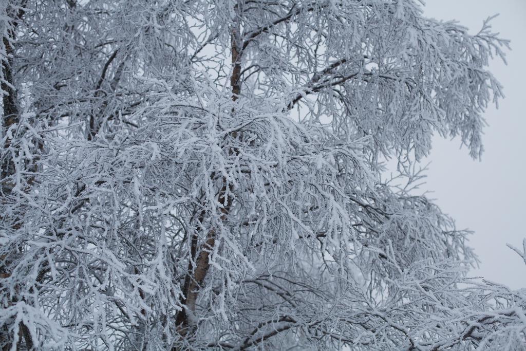 Villa Petaejaekylae Kuusamo Esterno foto